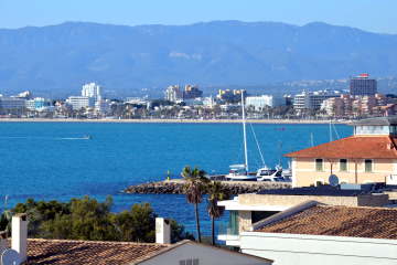 Thumbnail Image 1