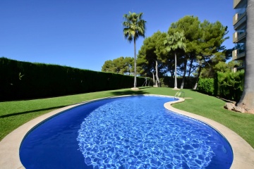Thumbnail Image 1
