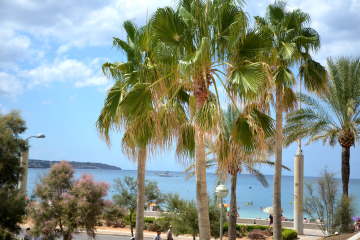 Thumbnail Image 1